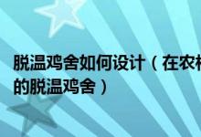 脫溫雞舍如何設(shè)計（在農(nóng)村怎樣建造一個5000～10000只雞的脫溫雞舍）
