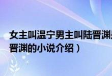 女主叫溫寧男主叫陸晉淵是什么小說(shuō)（女主叫溫寧男主叫陸晉淵的小說(shuō)介紹）