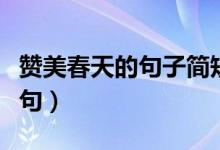 贊美春天的句子簡(jiǎn)短（描寫(xiě)春天唯美的句子短句）