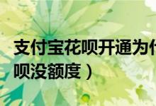 支付寶花唄開通為什么會沒有額度（為什么花唄沒額度）