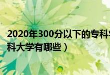 2020年300分以下的專科學(xué)校（2022年300分左右的公辦?？拼髮W(xué)有哪些）