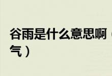 谷雨是什么意思?。ü扔晔墙邓饾u增多的節(jié)氣）