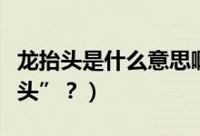 龍?zhí)ь^是什么意思啊（二月二為什么叫“龍?zhí)ь^”？）