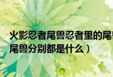 火影忍者尾獸忍者里的尾獸都長(zhǎng)什么樣子（火影忍者中九大尾獸分別都是什么）
