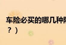 車險(xiǎn)必買的哪幾種險(xiǎn)（車輛保險(xiǎn)最好買哪幾種？）