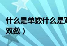 什么是單數(shù)什么是雙數(shù)?。ㄊ裁词菃螖?shù)什么是雙數(shù)）