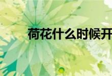 荷花什么時(shí)候開放（荷花開放時(shí)間）
