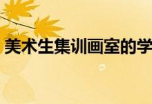 美術(shù)生集訓(xùn)畫室的學(xué)費(fèi)一般是多少（貴不貴）
