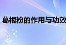 葛根粉的作用與功效禁忌（這里有簡單介紹）