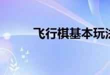 飛行棋基本玩法（飛行棋怎么玩）