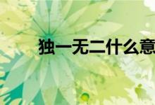 獨(dú)一無二什么意思（獨(dú)一無二出處）