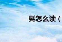 髡怎么讀（髡是什么意思）