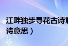 江畔獨步尋花古詩意思解釋（江畔獨步尋花古詩意思）