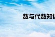 數(shù)與代數(shù)知識點（數(shù)與代數(shù)）
