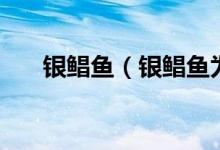 銀鯧魚(yú)（銀鯧魚(yú)為什么不能人工養(yǎng)殖）