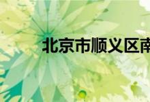 北京市順義區(qū)南彩學校的地址在哪