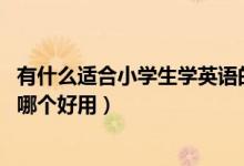 有什么適合小學生學英語的軟件?（小學生學英語的軟件app哪個好用）