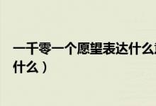 一千零一個愿望表達什么意思（一千零一個愿望表達意思是什么）