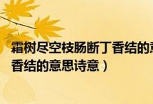 霜樹(shù)盡空枝腸斷丁香結(jié)的意思詩(shī)意20字（霜樹(shù)盡空枝腸斷丁香結(jié)的意思詩(shī)意）