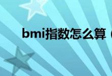 bmi指數(shù)怎么算（如何計算BMI指數(shù)）