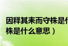 因釋其耒而守株是什么意思?。ㄒ蜥屍漶缍刂晔鞘裁匆馑迹?class=