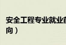 安全工程專(zhuān)業(yè)就業(yè)前景怎么樣（有哪些就業(yè)方向）
