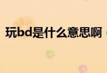玩bd是什么意思?。ㄍ鎎d到底是什么意思）
