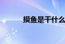 摸魚(yú)是干什么（摸魚(yú)是什么梗）