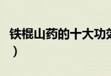 鐵棍山藥的十大功效（鐵棍山藥有哪十大功效）