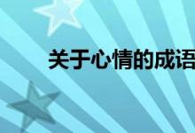 關于心情的成語（表達心情的成語）