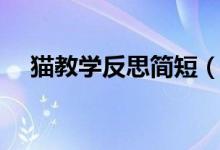 貓教學(xué)反思簡短（有關(guān)貓教學(xué)反思簡短）