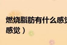 燃燒脂肪有什么感覺(jué)（身體得脂肪燃燒是什么感覺(jué)）