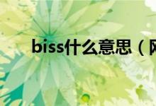 biss什么意思（網絡語biss什么意思）
