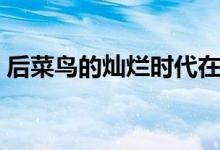 后菜鳥的燦爛時(shí)代在哪里可以看（有誰主演）