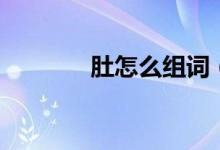肚怎么組詞（肚組詞有什么）