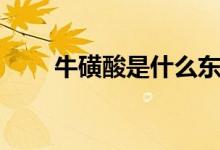 ?；撬崾鞘裁礀|西（?；撬岬慕忉專?class=