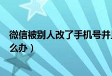 微信被別人改了手機號并且凍結(jié)（微信被別人改了手機號怎么辦）