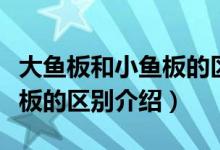 大魚板和小魚板的區(qū)別是什么（大魚板和小魚板的區(qū)別介紹）