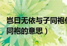 豈曰無依與子同袍作文600字（豈曰無依與子同袍的意思）