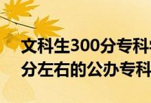 文科生300分?？茖W校（2022高考文科300分左右的公辦?？拼髮W）