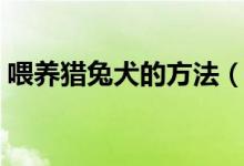 喂養(yǎng)獵兔犬的方法（喂養(yǎng)獵兔犬的方法簡述）