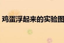 雞蛋浮起來的實驗圖片（雞蛋浮起來的實驗）