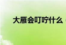 大雁會(huì)叮嚀什么（大雁會(huì)叮嚀些什么）