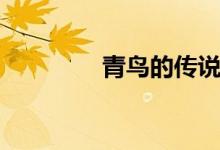 青鳥(niǎo)的傳說(shuō)（青鳥(niǎo)的含義）