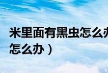 米里面有黑蟲怎么辦還能吃嗎（米里面有黑蟲怎么辦）