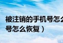 被注銷的手機(jī)號怎么才能夠看（被注銷的手機(jī)號怎么恢復(fù)）