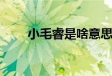 小毛睿是啥意思(毛睿是個(gè)什么梗)