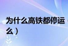 為什么高鐵都停運（高鐵突然停運一般是為什么）