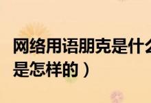 網(wǎng)絡用語朋克是什么意思（音樂中的朋克風格是怎樣的）