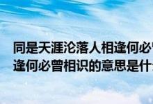 同是天涯淪落人相逢何必曾相識的意思（同是天涯淪落人相逢何必曾相識的意思是什么）